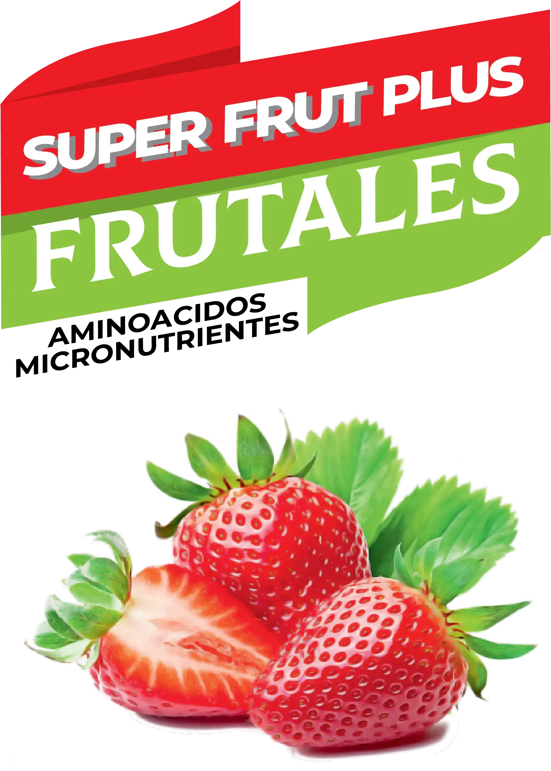 Descripción del producto